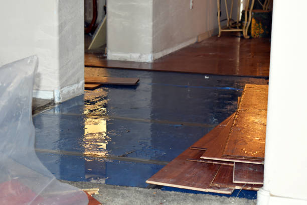 Professional Water Removal technician working in Saxon, WV